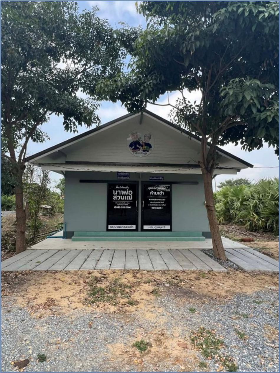 นาพ่อ สวนแม่