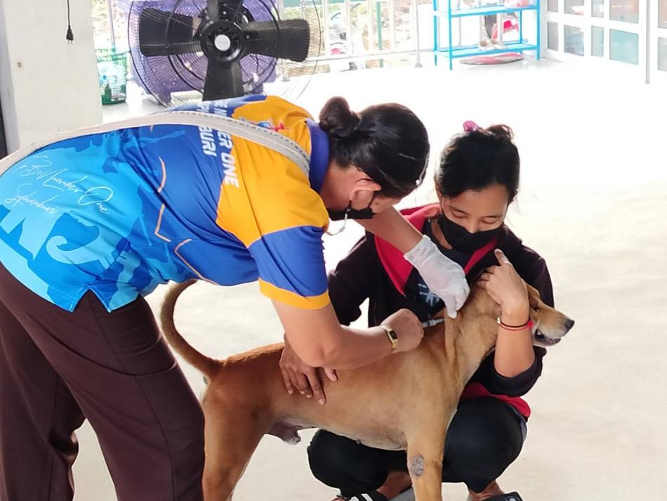 โครงการสัตว์ปลอดโรค คนปลอดภัยจากโรคพิษสุนัขบ้า ประจำปี 2567 หมู่ที่ 3 ตำบลทับตีเหล็ก